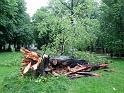 Hochwasser (74)